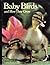 Baby birds and how they gro...