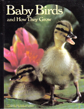 Baby birds and how they grow (Books for young explorers)