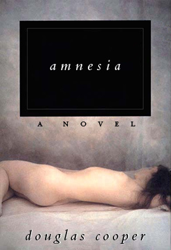 Amnesia (Hardcover)