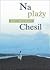 Na plaży Chesil by Ian McEwan