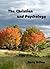 The Christian and Psychology by Gary E. Gilley