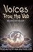 Voices From The Web 2