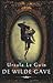 De wilde gave (Annals of the Western Shore, #1)