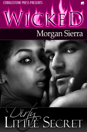Dirty Little Secret (Kindle Edition)