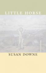 Little Horse (Paperback)