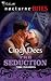 The Seduction (Time Raiders #0.5)