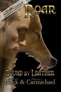 Bound by Leather (ebook)