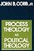 Process Theology as Politic...