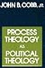 Process Theology as Political Theology