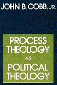 Process Theology as Political Theology (Paperback)