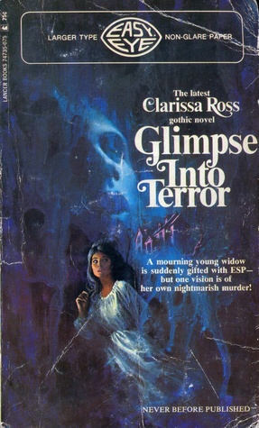 Glimpse Into Terror (Paperback)