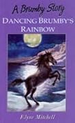 Dancing Brumby's Rainbow