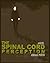 The Spinal Cord Perception