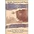 With Downcast Eyes by Tahar Ben Jelloun