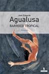 Barroco Tropical