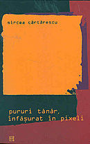 Pururi tanar, infasurat in pixeli (Paperback)
