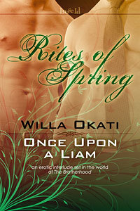 Once Upon a Liam (The Brotherhood, #11.5)