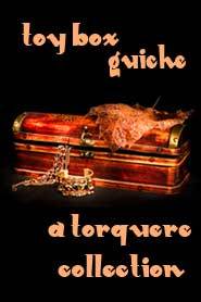 Toy Box: Guiche (Kindle Edition)