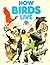 How Birds Live