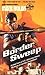 Border Sweep (Mack Bolan Th...