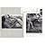 Teenage Lust by Larry  Clark