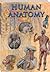 Human Anatomy