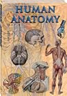 Human Anatomy