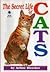 The Secret Life of Cats