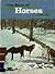The Book of Horses