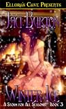 Winter Ice (Storm For All Seasons, #3)