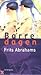 Barre dagen by Frits Abrahams