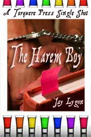 The Harem Boy (Kindle Edition)