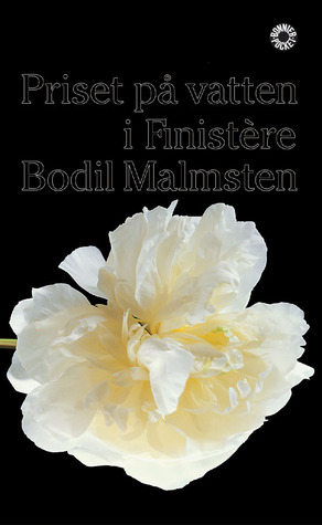 Priset på vatten i Finistère (Paperback)