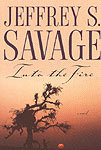 Into the Fire (Paperback)