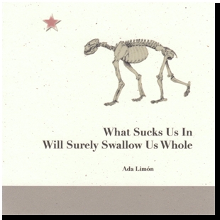 What Sucks Us In Will Surely Swallow Us Whole (chapbook)