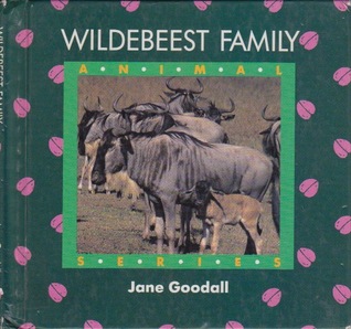 Wildebeest Family (Animal Series)