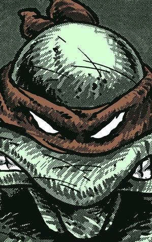 Teenage Mutant Ninja Turtles: The Collected Book, Volume One (TMNT The Collected Books, #1)