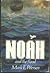 Noah and the Flood