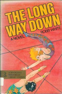 The Long Way Down (Library Binding)