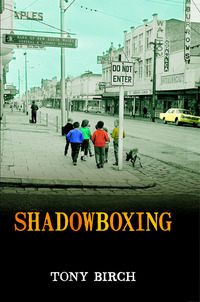 Shadowboxing (Paperback)