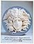 18th century Wedgwood: A Guide for Collectors & Connoisseurs