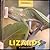 Lizards (Animals Animals)