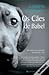 Os Cães de Babel by Carolyn Parkhurst Os Cães de Babel by Carolyn Parkhurst