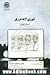 تئوری لایه مرزی