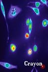Crayon 4