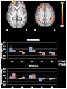 The Neural Correl...