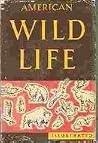 American Wild Life Illustrated American Wild Life Illustrated