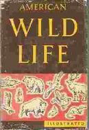 American Wild Life Illustrated (Hardcover)