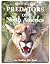 Erwin Bauer's Predators of ...