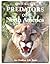 Erwin Bauer's Predators of North America